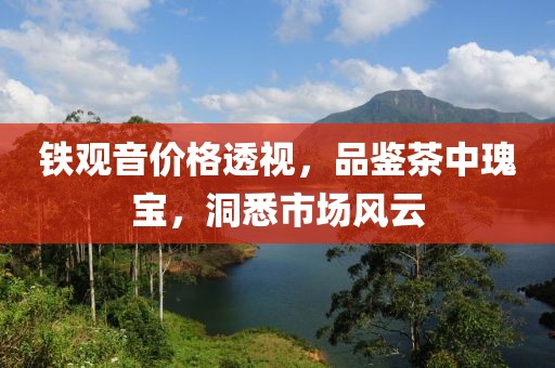 铁观音价格透视，品鉴茶中瑰宝，洞悉市场风云