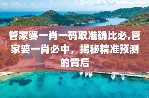 管家婆一肖一码取准确比必,管家婆一肖必中，揭秘精准预测的背后