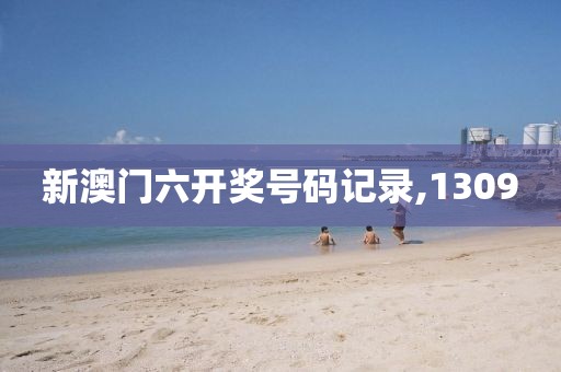 新澳门六开奖号码记录,1309