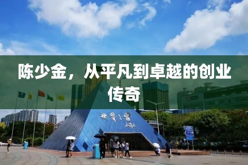 陈少金，从平凡到卓越的创业传奇
