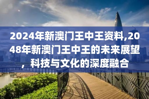 2024年新澳门王中王资料,2048年新澳门王中王的未来展望，科技与文化的深度融合