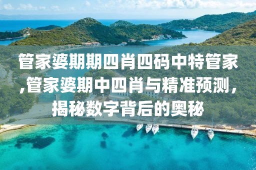 管家婆期期四肖四码中特管家,管家婆期中四肖与精准预测，揭秘数字背后的奥秘