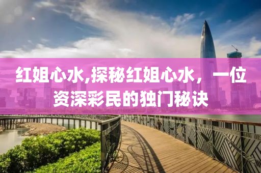红姐心水,探秘红姐心水，一位资深彩民的独门秘诀