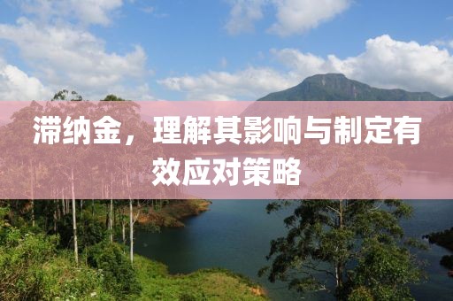滞纳金，理解其影响与制定有效应对策略