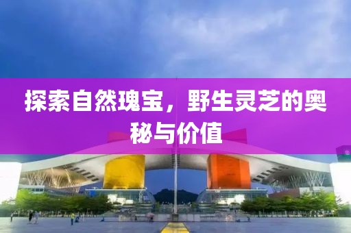 探索自然瑰宝，野生灵芝的奥秘与价值