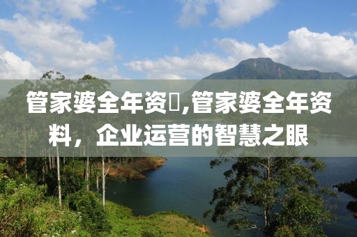 管家婆全年资枓,管家婆全年资料，企业运营的智慧之眼