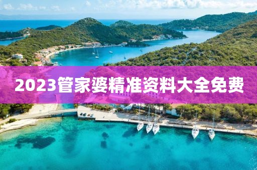 2023管家婆精准资料大全免费