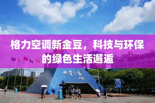 格力空调新金豆