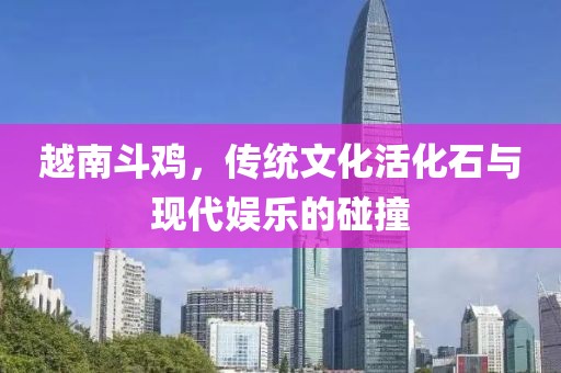 越南斗鸡，传统文化活化石与现代娱乐的碰撞