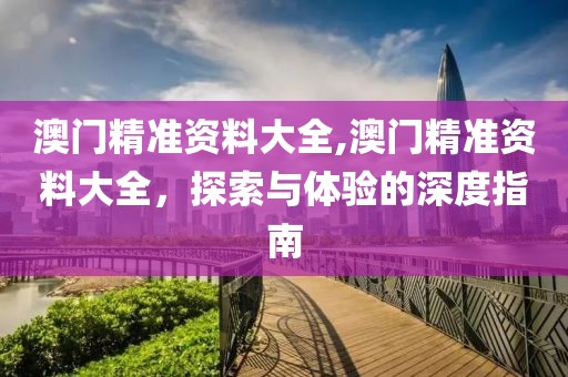澳门精准资料大全,澳门精准资料大全，探索与体验的深度指南