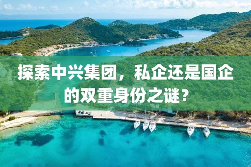 探索中兴集团，私企还是国企的双重身份之谜？