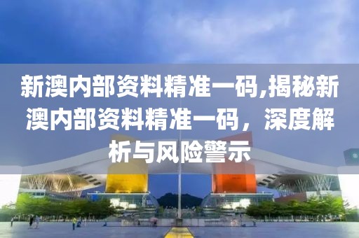 新澳内部资料精准一码,揭秘新澳内部资料精准一码，深度解析与风险警示