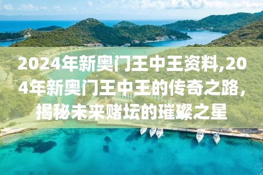 2024年新奥门王中王资料,204年新奥门王中王的传奇之路，揭秘未来赌坛的璀璨之星