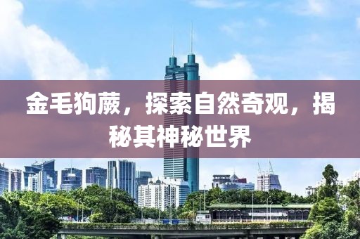 金毛狗蕨，探索自然奇观，揭秘其神秘世界