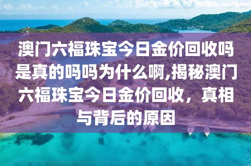 澳门六福珠宝今日金价回收吗是真的吗吗为什么啊,揭秘澳门六福珠宝今日金价回收，真相与背后的原因