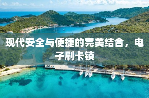 现代安全与便捷的完美结合，电子刷卡锁