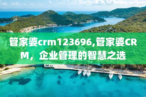 管家婆crm123696,管家婆CRM，企业管理的智慧之选