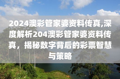 2024澳彩管家婆资料传真,深度解析204澳彩管家婆资料传真，揭秘数字背后的彩票智慧与策略