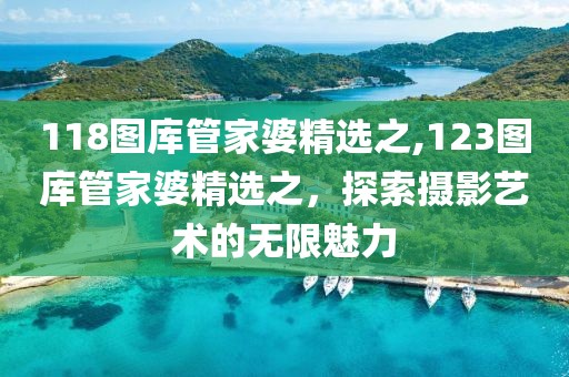 118图库管家婆精选之,123图库管家婆精选之，探索摄影艺术的无限魅力