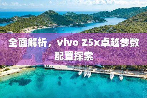 全面解析，vivo Z5x卓越参数配置探索