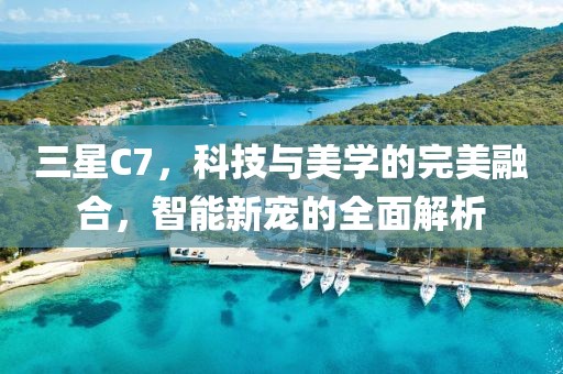 三星C7，科技与美学的完美融合，智能新宠的全面解析