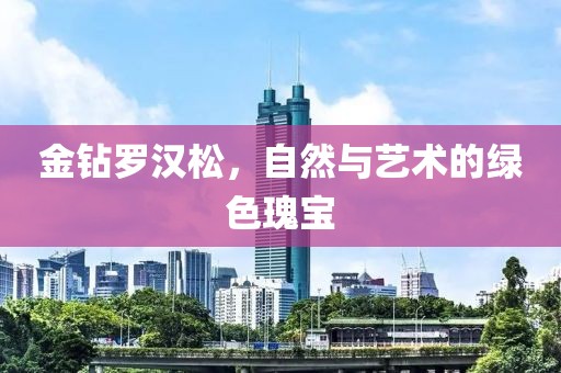 金钻罗汉松