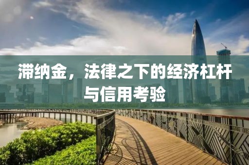 滞纳金，法律之下的经济杠杆与信用考验