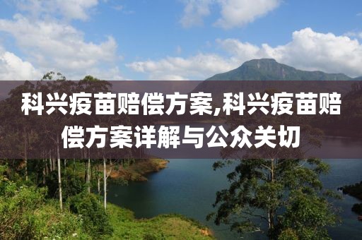 科兴疫苗赔偿方案,科兴疫苗赔偿方案详解与公众关切