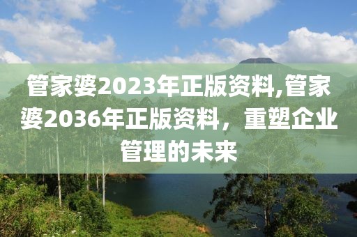 管家婆2023年正版资料,管家婆2036年正版资料，重塑企业管理的未来