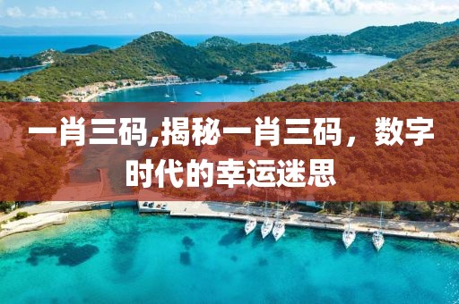 一肖三码,揭秘一肖三码，数字时代的幸运迷思