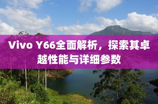 Vivo Y66全面解析，探索其卓越性能与详细参数