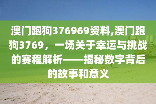 澳门跑狗376969资料,澳门跑狗3769，一场关于幸运与挑战的赛程解析——揭秘数字背后的故事和意义