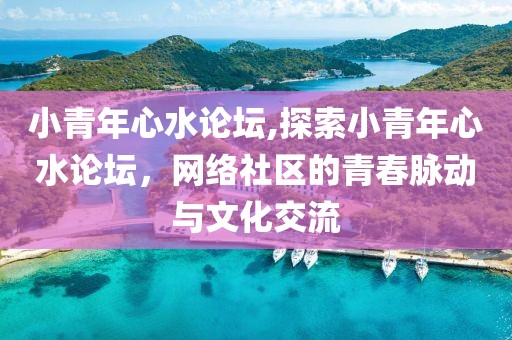 小青年心水论坛,探索小青年心水论坛，网络社区的青春脉动与文化交流