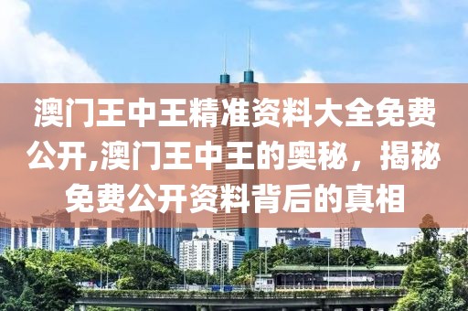 澳门王中王精准资料大全免费公开,澳门王中王的奥秘，揭秘免费公开资料背后的真相