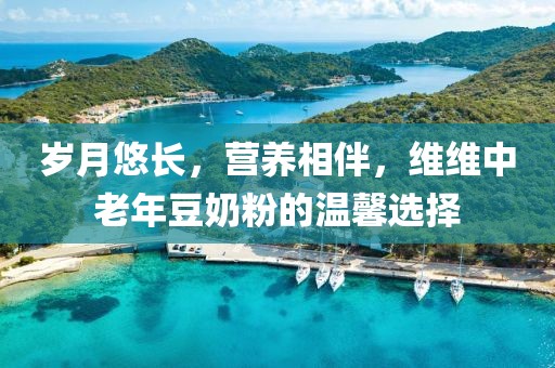维维中老年豆奶粉