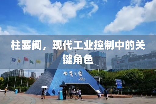 柱塞阀，现代工业控制中的关键角色