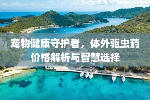 宠物健康守护者，体外驱虫药价格解析与智慧选择