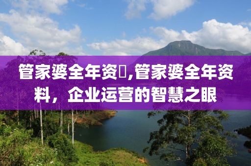 管家婆全年资枓,管家婆全年资料，企业运营的智慧之眼