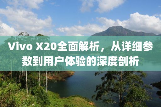 Vivo X20全面解析，从详细参数到用户体验的深度剖析