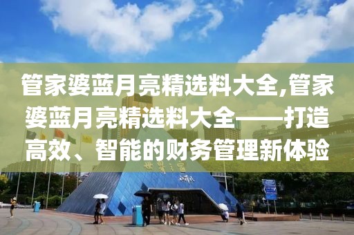 管家婆蓝月亮精选料大全,管家婆蓝月亮精选料大全——打造高效、智能的财务管理新体验