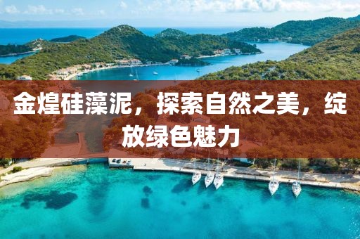 金煌硅藻泥，探索自然之美，绽放绿色魅力