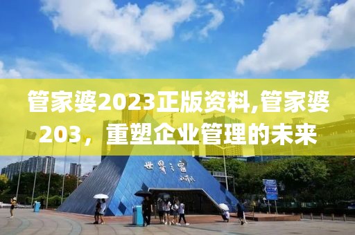管家婆2023正版资料,管家婆203，重塑企业管理的未来
