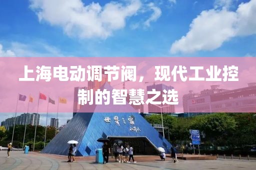 上海电动调节阀，现代工业控制的智慧之选