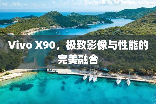 Vivo X90，极致影像与性能的完美融合