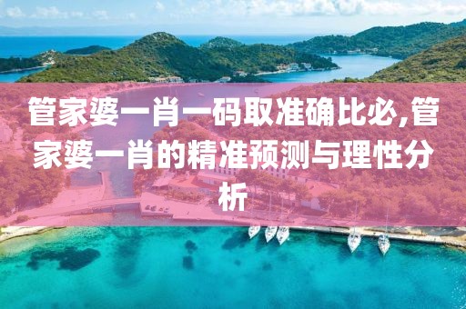 管家婆一肖一码取准确比必,管家婆一肖的精准预测与理性分析