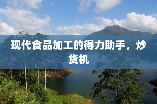 现代食品加工的得力助手，炒货机