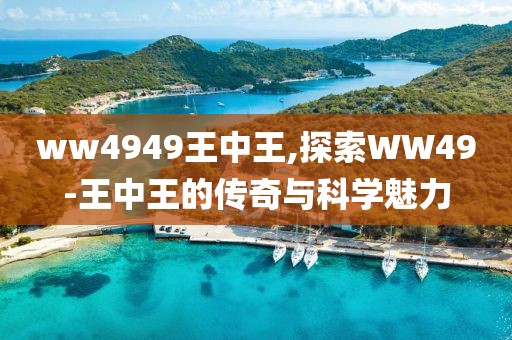 ww4949王中王,探索WW49-王中王的传奇与科学魅力