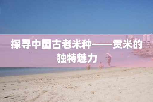贡米