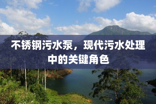 不锈钢污水泵，现代污水处理中的关键角色
