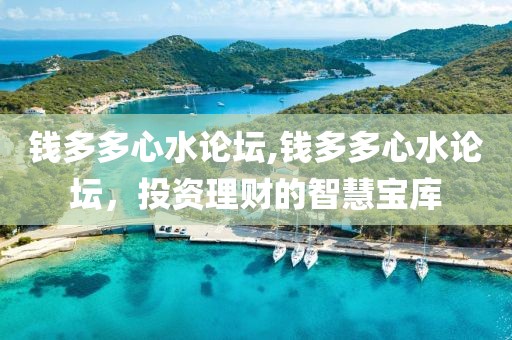 钱多多心水论坛,钱多多心水论坛，投资理财的智慧宝库